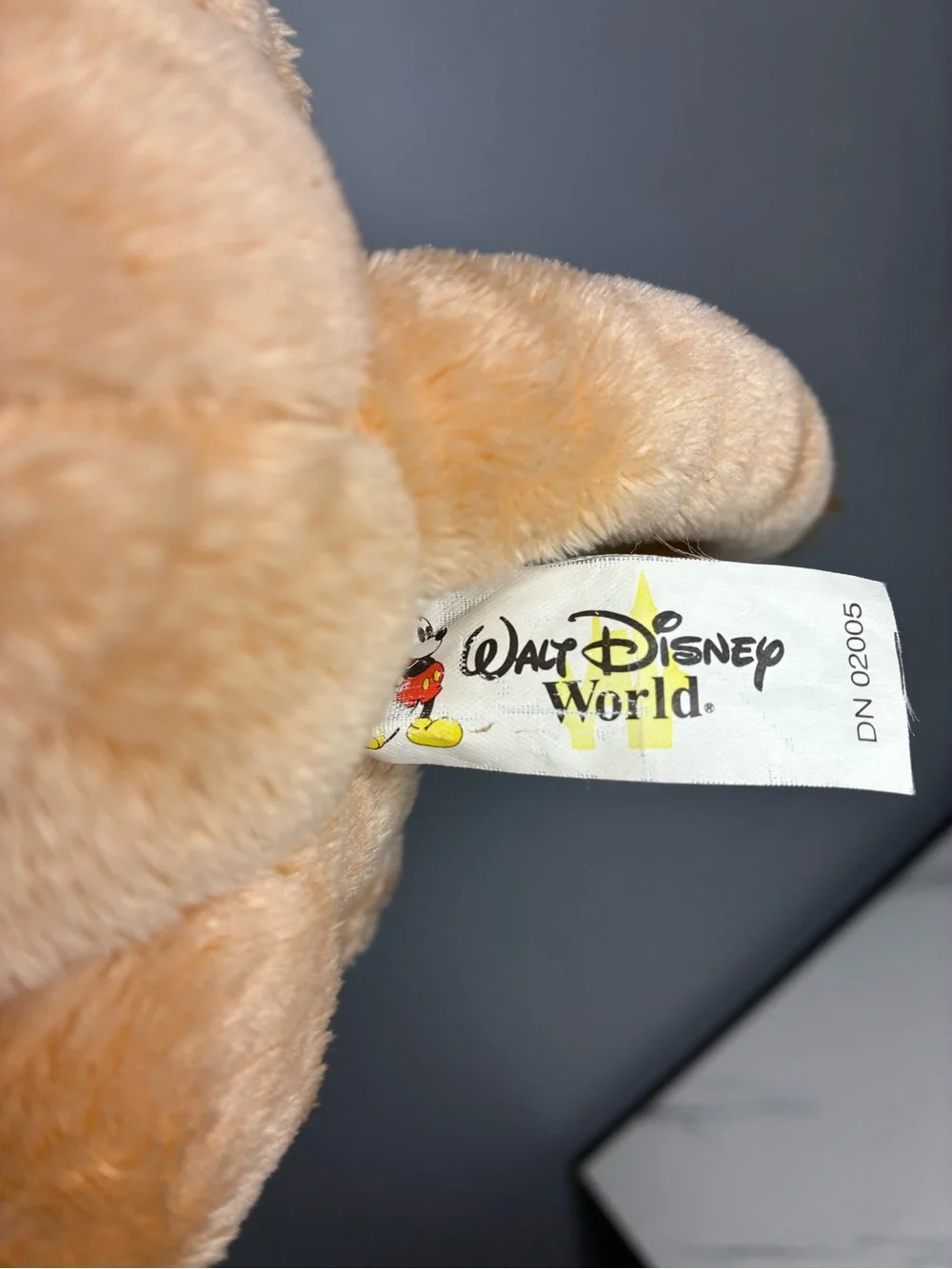 Disney walt world